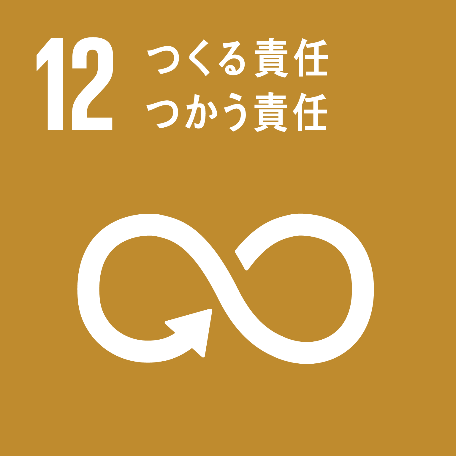 sdg_12